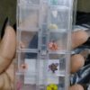 Flor Seca Para Decoração De Unhas Nail Art