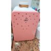Mini Geladeira Portátil 8 litros D&Z