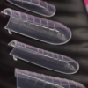 Molde F1 + Reversa D&Z Silicone São 4 Modelos De Unha